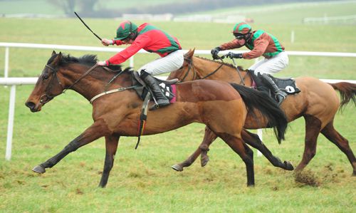 Milestone Miss (Martin Burke) is too strong for Killtilane Rose (David Splaine) close home in the 2nd at Thurles