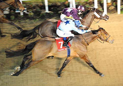 Cool Athlete (nearside) got up to touch off The Black Devil by the minimum at Dundalk