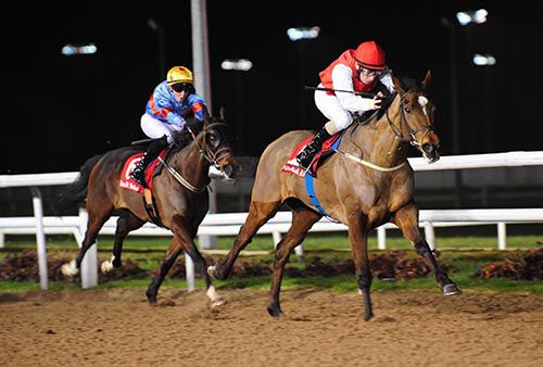 Cottesloe was too strong for Fairy Court in the closing stages of the penultimate race at Dundalk
