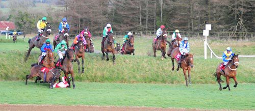 Bishopsfurze and Patrick Mullins crashes out at the fourteen, bringing down Dosco's Dream and Classic Cut