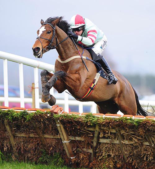 Say It Again (Andrew McNamara) clears the last in style