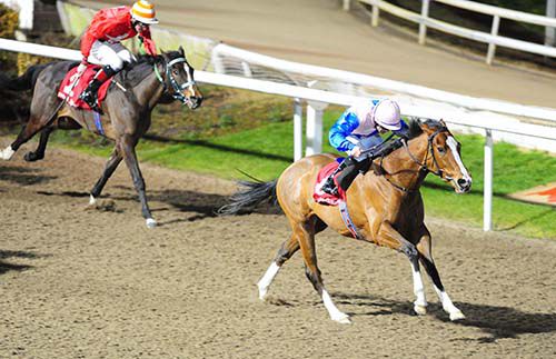 Represent Yourself accounts for Rust Never Sleeps at Dundalk