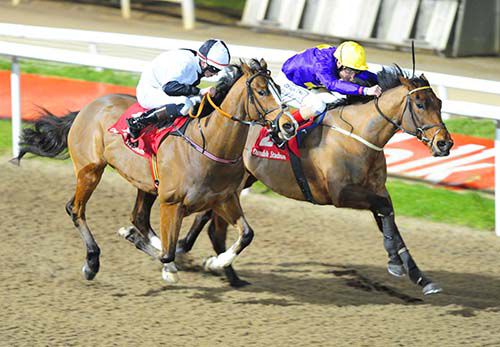 Defining Year (Pat Smullen, far side) edged out Gretzky (Conor Hoban) in the finale at Dundalk