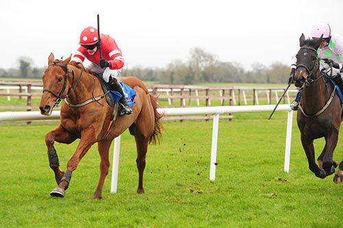 Abbyssial (Paul Townend) saw off Adriana Des Mottes (Ruby Walsh) in the Grade 2 opener at Fairyhouse