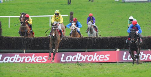Followmeuptocarlow (right) leads over the last with Instant Impacked in close pursuit