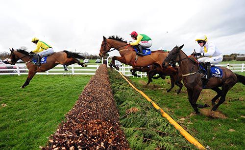 Miley Shah leads Juan De Gracia and Butney Rock over a fence