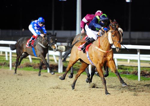 Wither Hills out in front in Dundalk