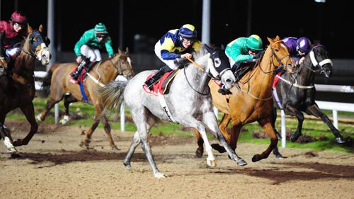 Grey mare Revolution wins in Dundalk