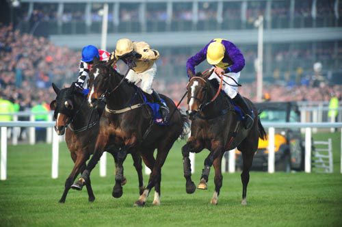 The Giant Bolster (left) finishing third in Gold Cup