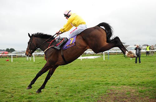 Andrew Lynch said An Dearthair Og jumped super at Wexford and it certainly looks like that here