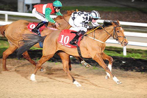 Zambezi Tiger (Ross Coakley) beats Doux Douce (Robson Aguiar) in the 2nd last at Dundalk