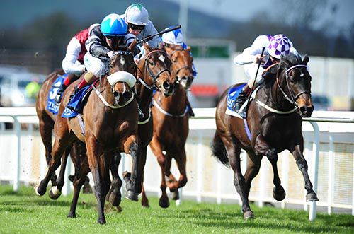 Beach Belle (Chris Hayes, nearside) saw off Bwana, Alertness and company at the Curragh