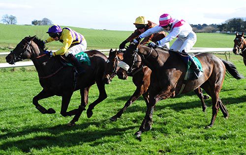 Back Off Mate, right, wins in Downpatrick