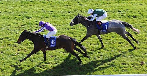 Fly To The Moon winning at the Curragh