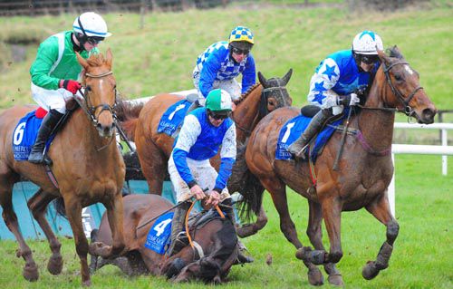 Feenakilmeedy and Davy Russell fall at the fifth hurdle in the Croom Mares Hurdle