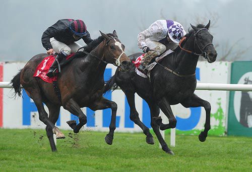 Fiscal Focus (Kevin Manning) holds off Boqa (Wayne Lordan) in the 2nd at Leopardstown