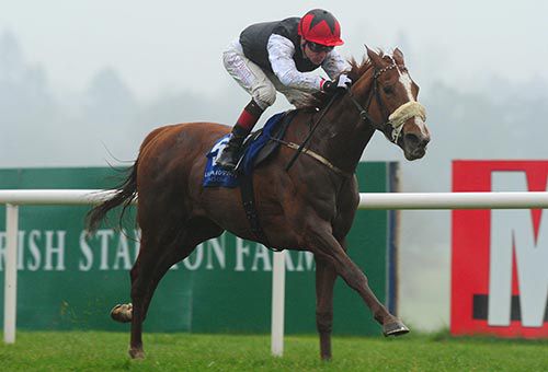 Amber Romance and Pat Smullen come home in style at Leopardstown