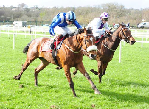 Tahaany, near side, beats Tirghra in Cork