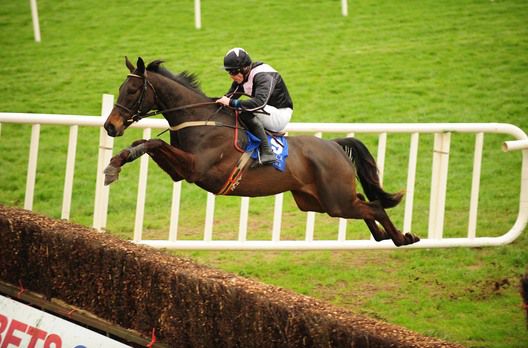 Ludo Et Emergo puts in a spectacular leap for Davy Russell