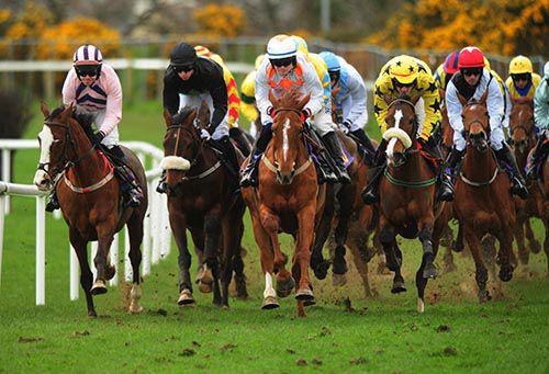 Gold Platinum (centre) leads the 16-runner mares maiden hurdle
