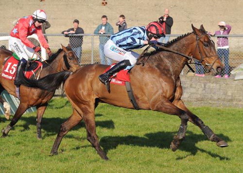 Try It Sometime (Andrew McNamara) races on from Udo's Choice (Mark Enright)