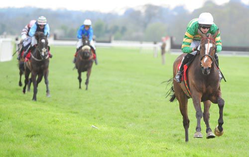 Daylight between Badgerfort and his rivals in Cork