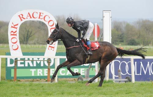 Pulled Mussel eases to victory under James 'Corky' Carroll