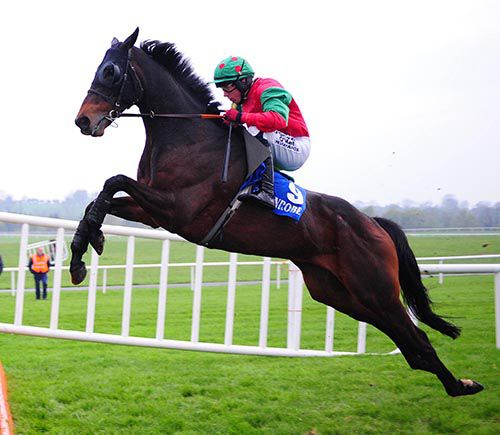 The Mark Enright-ridden Imperial Joey flies the final fence in Ballinrobe's penultimate