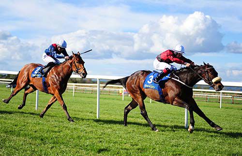 Kernoff (Shane Foley) stays on well to beat Full Steam Ahead