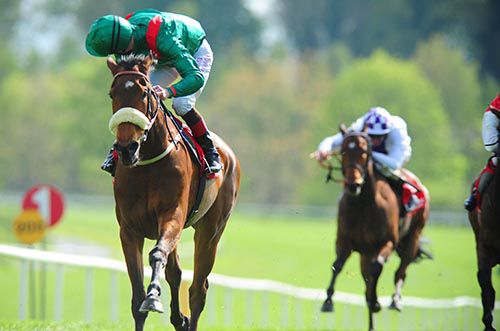 Pat Smullen and Sereza come home easy winners