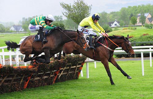 Martello Tower (inside) jumps the last just ahead of Badgerfort 