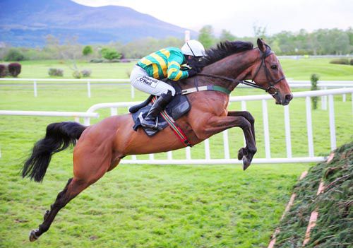 On The Fringe pictured on his way to victory at Killarney last year