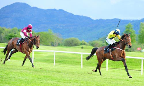 Ballychorus is driven out by Katie Walsh to beat Fort Smith 
