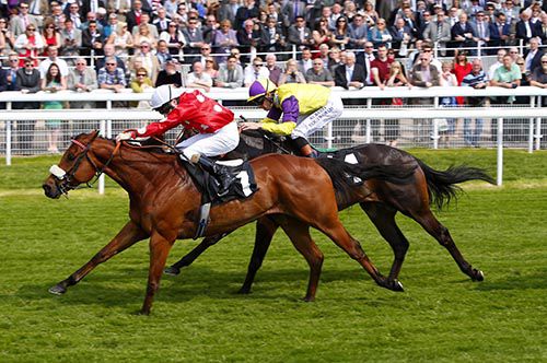 Maarek pictured on his way to victory at York in May