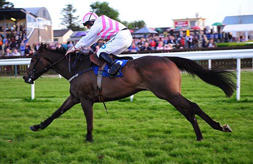 Ground Invasion seen here winning a bumper at Tipperary
