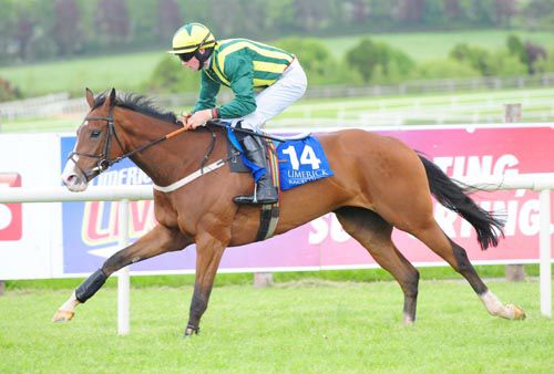 Circe's Island and Adrian Heskin come home easy winners of the opener at Limerick