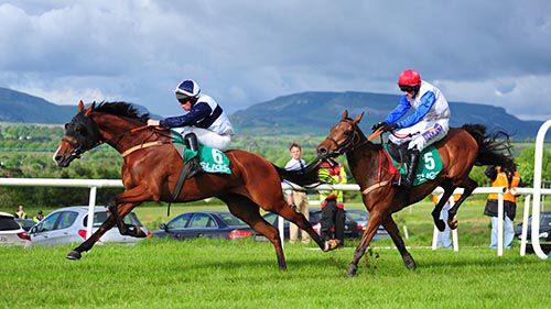 Johnny Suku (Barry Cash) leads Jimmy Two Times (Brian O'Connell) home in the first at Sligo