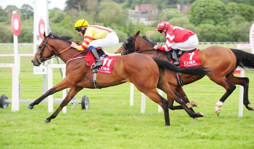 Beau Satchel and Declan McDonogh get up to deny Apache Gold and Niall McCullagh