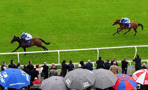 Cappella Sansevero seen here beating Sors at the Curragh