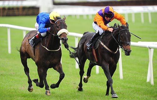 Ballyadam Brook and Rory Cleary (right) beat Hisaabaat