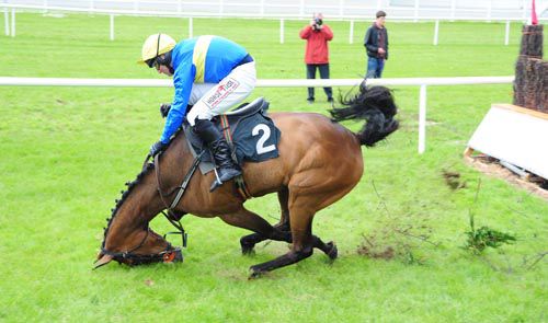 Annie Oakley (Robbie Power) falls at the last to leave Andreas Pride in front