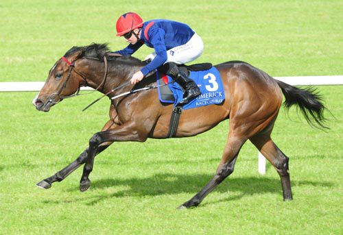 The Michael O'Callaghan trained Case Statement is another Irish trained runner in the field