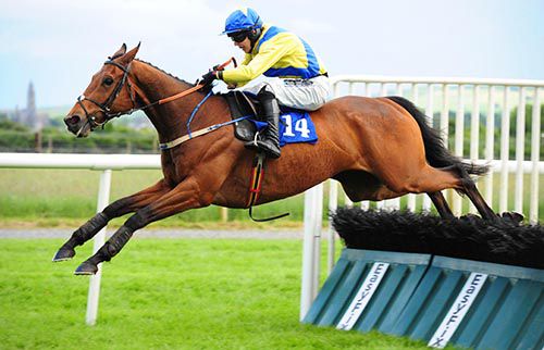 Imperial Breeze comes home clear in Roscommon
