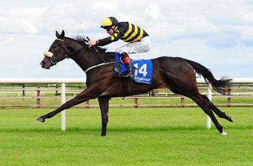 Marsali is pushed out close home by Dermot Weld 