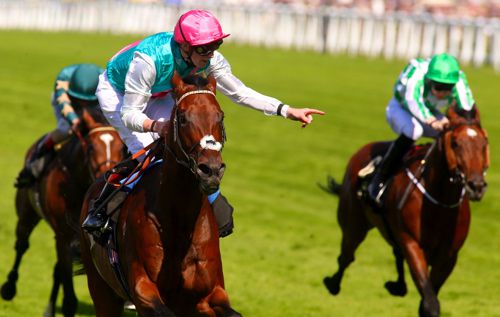 Kingman is also set to line-up