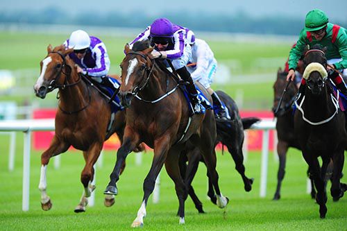 Words (purple cap) pictured on her way to victory at the Curragh last June