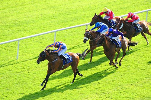 Table Rock (Joseph O'Brien) stays on well from Bold Thady Quill (nearside)