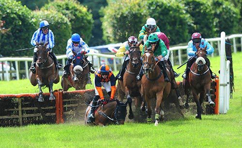 Roman General falls at the second last in Bellewstown