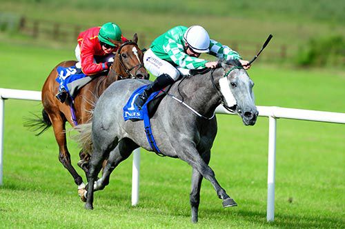 Yulong Baoju stretches out well for Fergal Lynch from Colour Blue (Tom Madden)