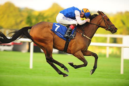 Starlet completes a treble on the evening for Dermot Weld and Pat Smullen